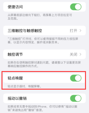 巢湖苹果授权维修站分享iPhone轻点无法唤醒怎么办