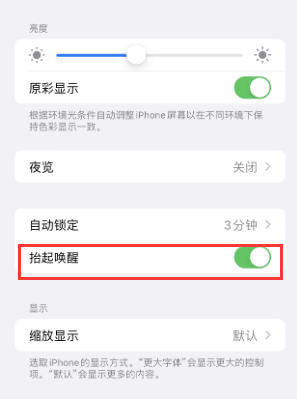 巢湖苹果授权维修站分享iPhone轻点无法唤醒怎么办