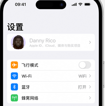 巢湖appleID维修服务iPhone设置中Apple ID显示为灰色无法使用 