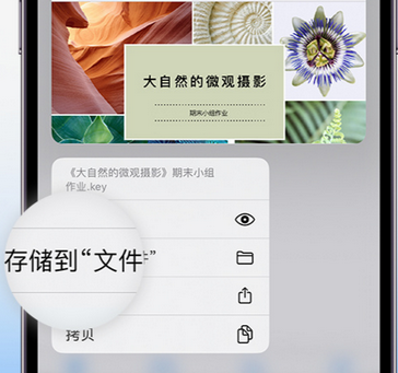 巢湖apple维修中心分享iPhone文件应用中存储和找到下载文件