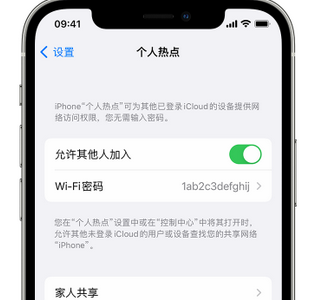 巢湖apple服务站点分享iPhone上个人热点丢失了怎么办 