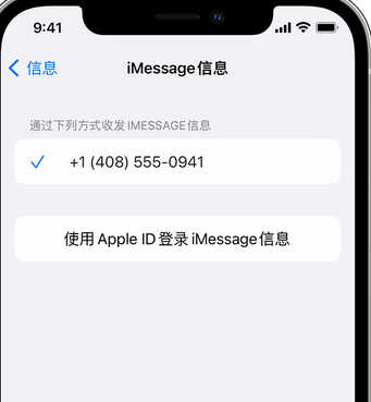 巢湖apple维修iPhone上无法正常发送iMessage信息 