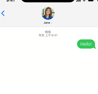 巢湖apple维修iPhone上无法正常发送iMessage信息