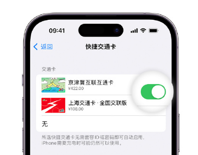 巢湖apple维修点分享iPhone上更换Apple Pay快捷交通卡手绘卡面 