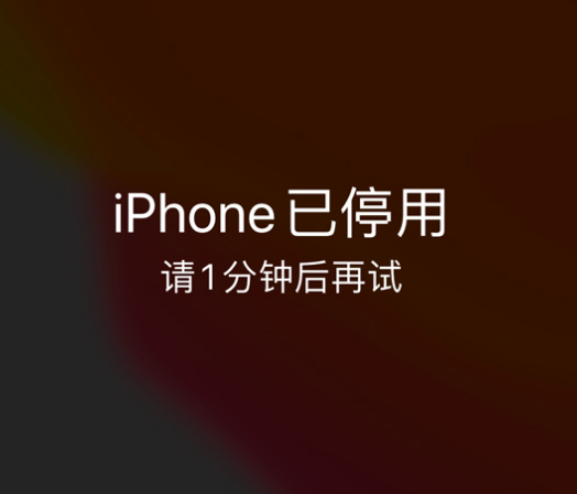 巢湖苹果手机维修分享:iPhone 显示“不可用”或“已停用”怎么办？还能保留数据吗？ 