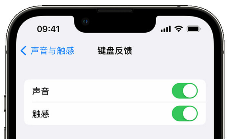 巢湖苹果手机维修分享iPhone 14触感键盘使用方法 