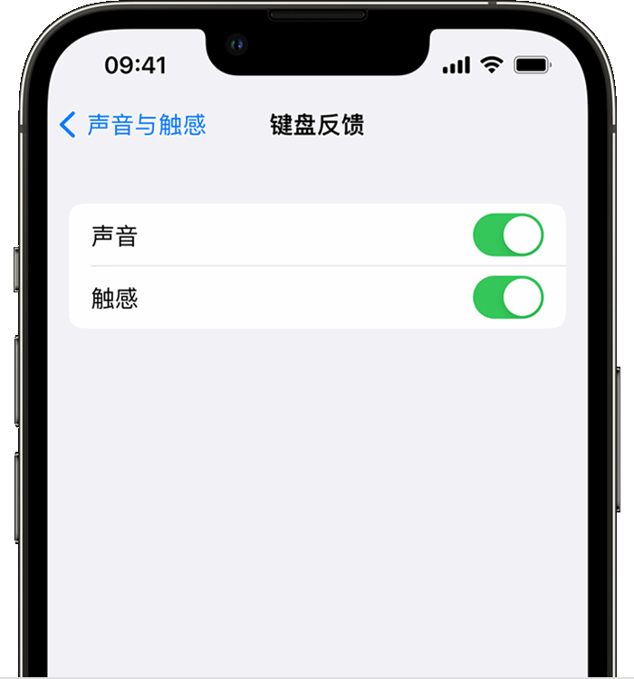 巢湖苹果14维修店分享如何在 iPhone 14 机型中使用触感键盘 