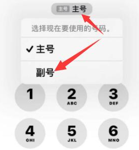 巢湖苹果14维修店分享iPhone 14 Pro Max使用副卡打电话的方法 