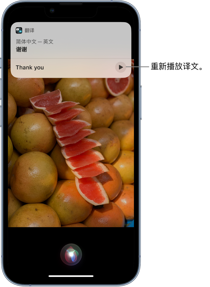 巢湖苹果14维修分享 iPhone 14 机型中使用 Siri：了解 Siri 能帮你做什么 