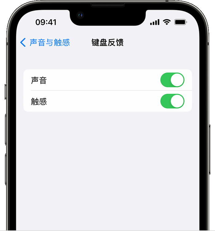 巢湖苹果14维修分享iPhone 14 系列机型如何开启键盘声音或触感反馈 
