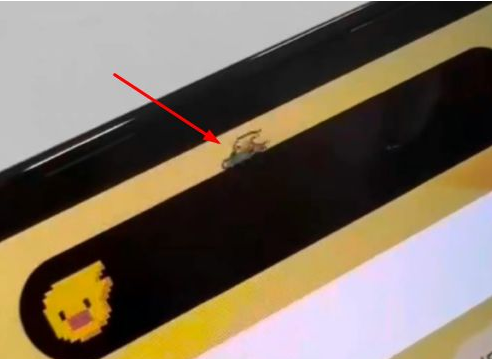 巢湖苹果14维修分享iPhone 14 Pro Max灵动岛怎么养宠物 