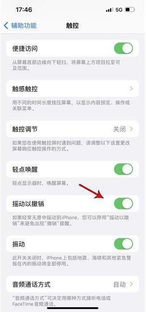 巢湖苹果手机维修分享iPhone手机如何设置摇一摇删除文字 