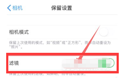 巢湖苹果13维修分享iPhone13拍照有绿点是怎么回事 