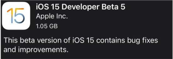 巢湖苹果手机维修分享如何升级到iOS15.0 beta5 