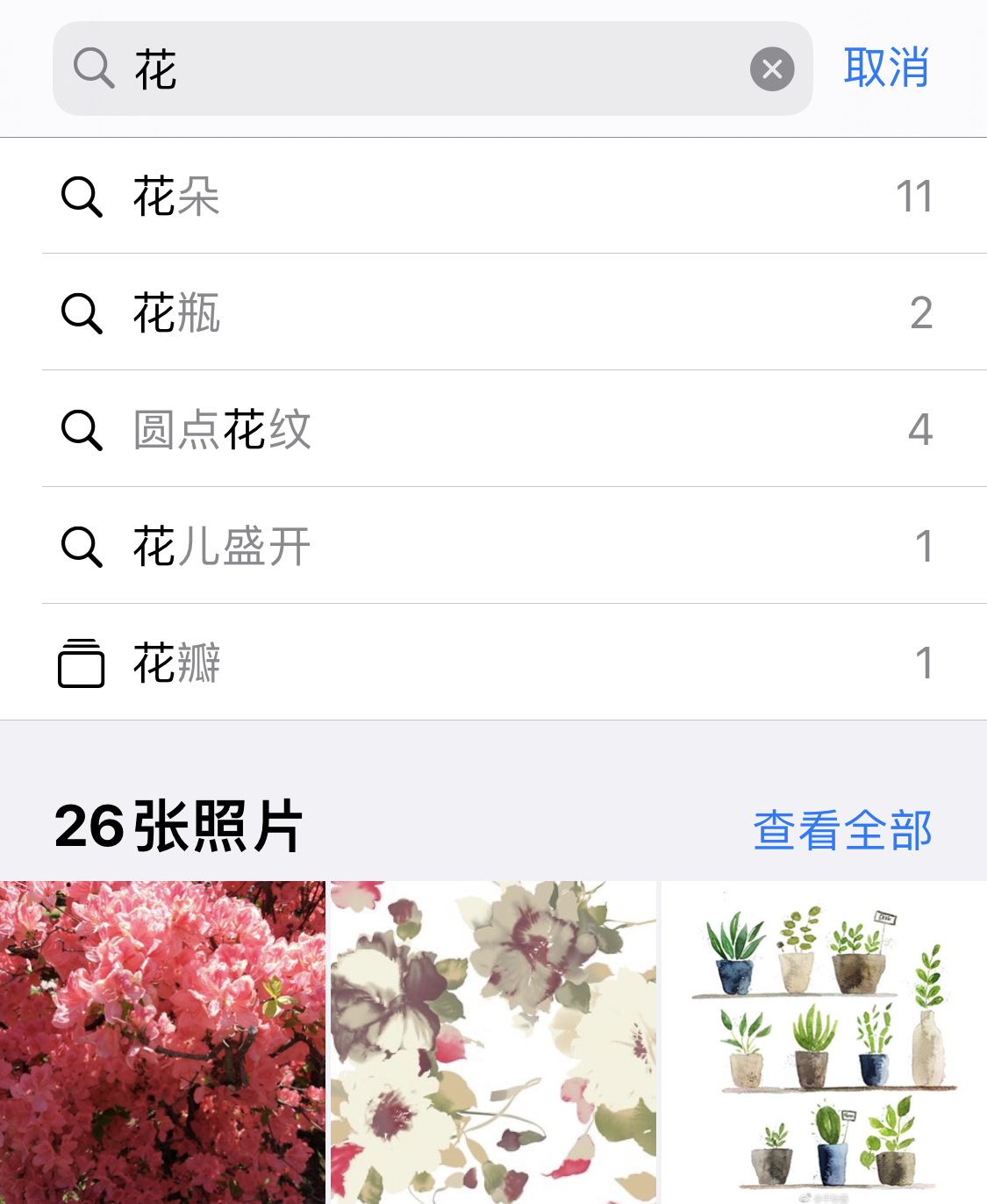 巢湖苹果手机维修分享iPhone 小技巧 