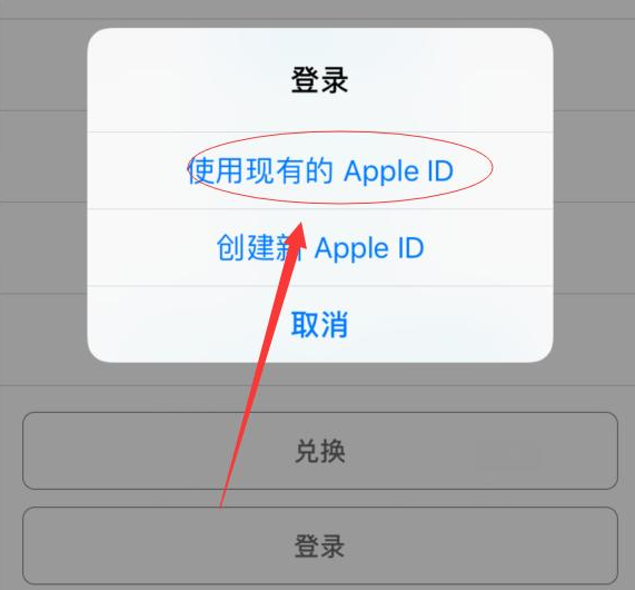 巢湖苹果手机维修分享两台iPhone设备可以同时登录一个Apple ID吗 