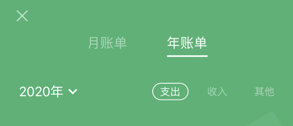 巢湖苹果手机维修分享如何在 iPhone 上查看支付宝和微信年支出账单 