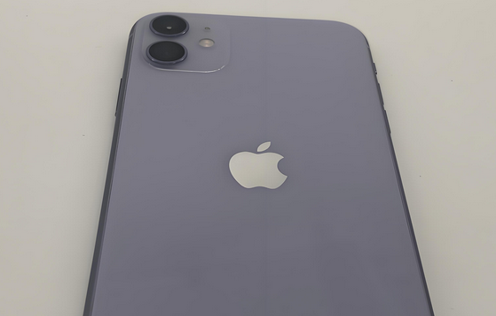 巢湖苹果11系统维修分享iPhone11手机系统崩溃无法开机如何解决