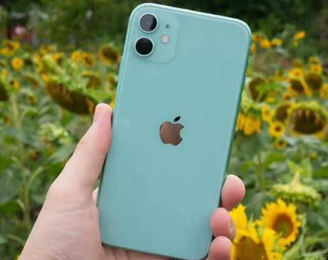 巢湖苹果维修点分享iPhone 11锁屏密码认知与使用科普 
