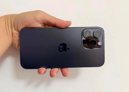 巢湖苹果维修点分享iPhone 14 Pro Max黑屏少见故障盘点 